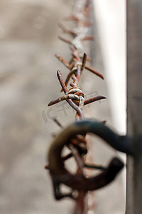 旧的带刺铁丝网沿着篱笆生锈了。