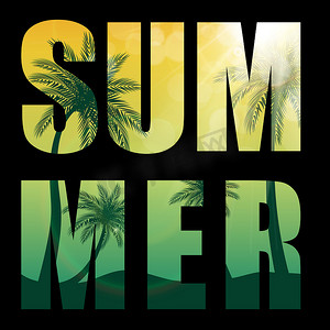 美丽棕榈树叶剪影背景矢量插图中的夏季词