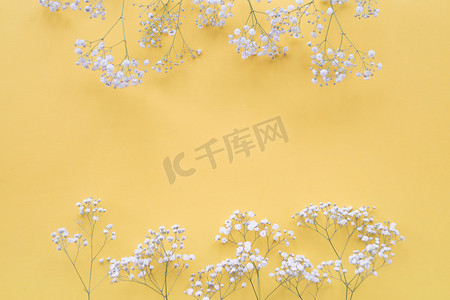 春天背景边框摄影照片_白花边框黄色背景。