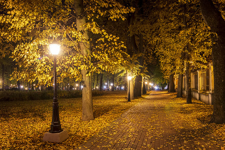 秋天的夜公园，黄叶落下。