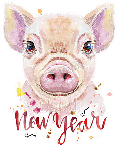 迷你猪水彩画像，上面刻着新年