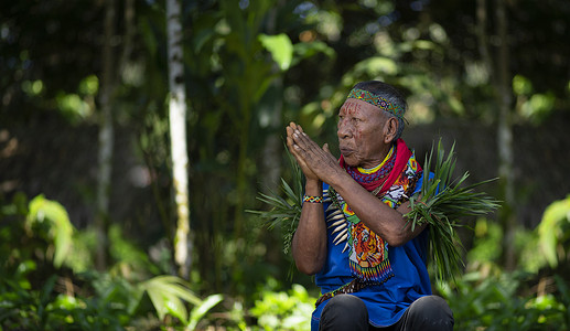 科凡族年长土著萨满在亚马逊雨林中双手合十祈祷