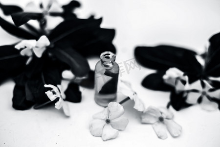 既往开来再创辉煌摄影照片_白色花朵、叶子和必需的有机精华，装在一个透明的小玻璃瓶中，与白色隔离开来。