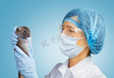 有老鼠的兽医