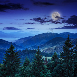 月亮山谷摄影照片_山中山谷附近的松树和山坡上的森林