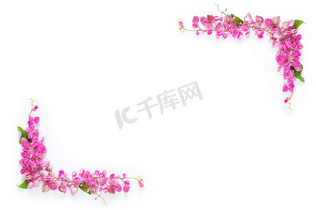 粉红色的花卉边框框架作为白色背景上的角落，带有复制空间