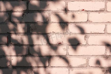 太阳阴影摄影照片_有太阳光线和树影的砖墙