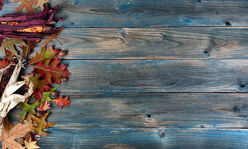 万圣节或感恩节背景的秋季假期，蓝色风化木板上的侧边玉米、橡子和树叶