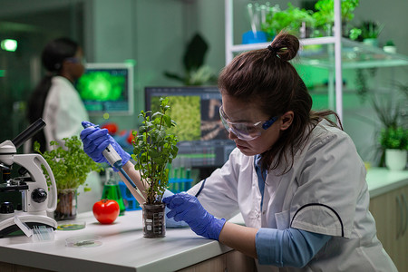 生物化学家用微量管在树苗上科学提取绿色液体