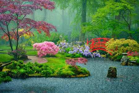 park摄影照片_日本花园，Park Clingendael，海牙，荷兰