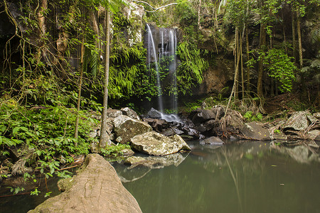 铃鼓山柯蒂斯瀑布 (Curtis Falls)