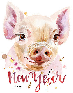猪猪新年摄影照片_迷你猪水彩画，题词新年