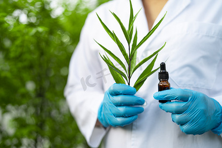 医生科学家拿着一瓶草药油植物产品、液滴剂量、生物学和生态替代自然医学。