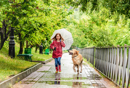 小女孩带着狗在雨中行走