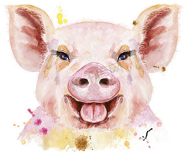 猪的水彩画，题词新年
