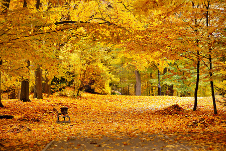金秋十月色彩缤纷的公园。