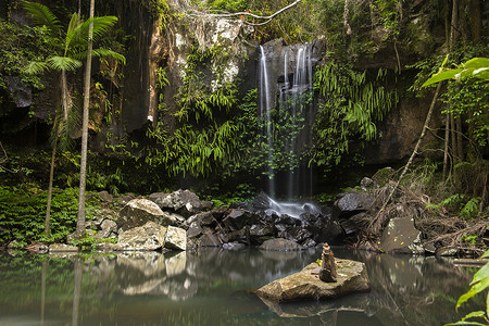 铃鼓山柯蒂斯瀑布 (Curtis Falls)