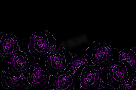 一组紫罗兰色和紫色玫瑰图案线发光光排列