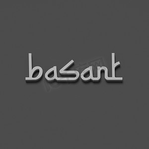 3D 渲染单词 basant