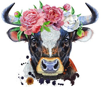 牡丹花环中带白点的黑牛水彩插图