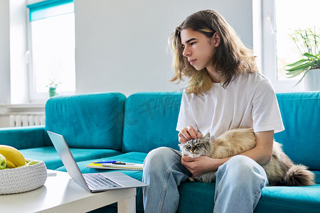 少年在家用笔记本电脑和宠物猫在线学习