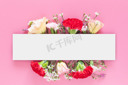 创意布局采用鲜艳的粉红色背景和白色矩形条横幅标签制作的新鲜五颜六色的春天花朵。