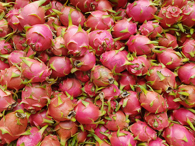 粉色火龙果摄影照片_火龙果或火龙果（火龙果）在水果市场