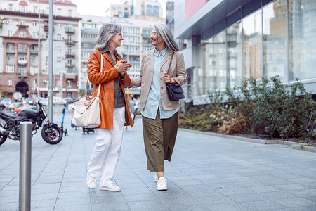 大城市摄影照片_秋日，带着长发同伴的快乐的高级女性在大城市街道上散步