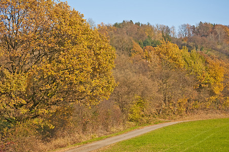 秋季彩绘森林与方式