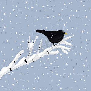 冬天树枝上的黑鸟