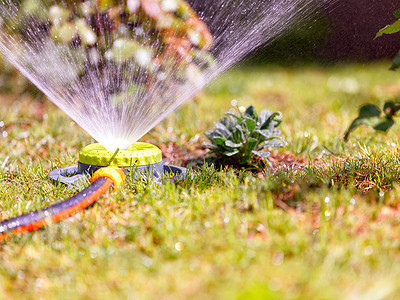 便携式洒水器在夏日花园中喷洒草坪和鲜花，使植物免受正午高温的影响。