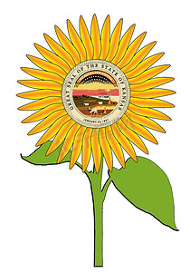 巨大明亮的堪萨斯州向日葵