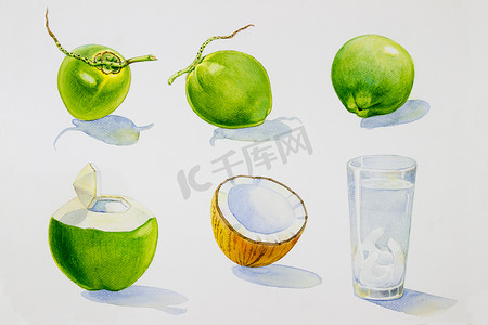 夏季果汁系列摄影照片_绘画夏季椰子系列，孤立。