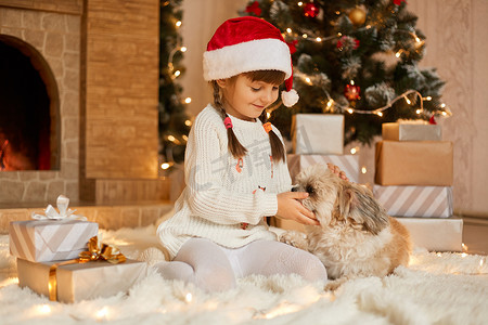 小女孩带着小狗坐在枞树附近的地板上，孩子在节日客厅里和北京狗玩耍，孩子穿着白色毛衣和圣诞老人​​帽子，圣诞夜可爱的学龄前儿童。