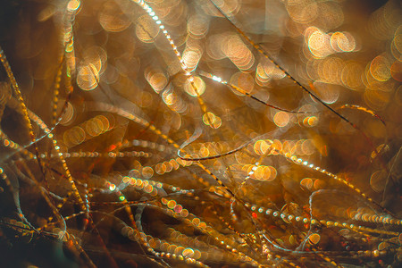 闪闪发光的金色彩带 — 圣诞假期 hackground