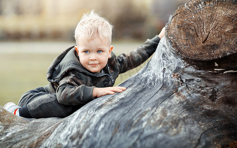 大树枝后面的幼儿男孩的肖像