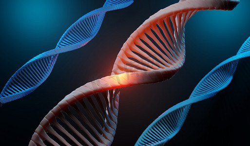 3d 渲染 RNA 的 DNA 的螺旋互补链。