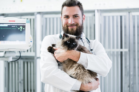 兽医宠物医生在他的动物诊所里抱着猫病人