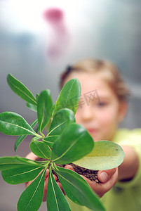 拿着小植物的小女孩