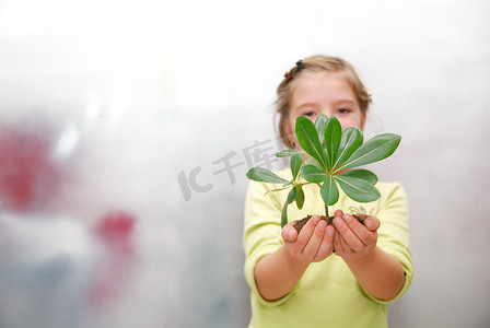 小碎花摄影照片_拿着小植物的小女孩