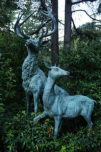 长角鹿摄影照片_长着大角的鹿和焦虑的鹿的雕塑