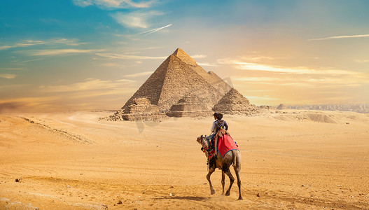 骆驼和金字塔