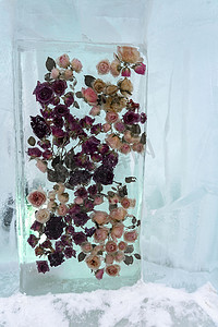 冰块纹理摄影照片_冰块内的花朵。