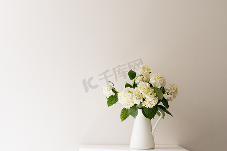 桌子上的水罐里的白色绣球花靠着白墙，左边有复制空间（选择性焦点）