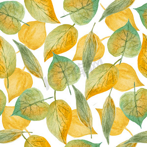 手绘树叶摄影照片_无缝手绘水彩图案与绿色黄色野草叶在木林地森林中。