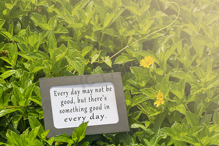 绿叶和花朵背景模糊的记事本上的励志名言