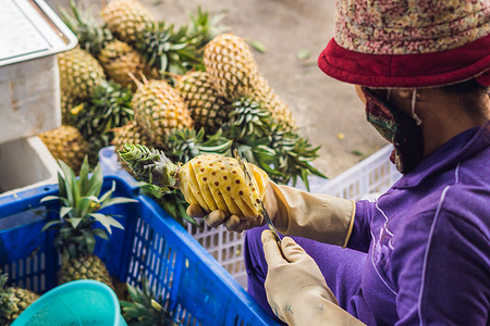 一名越南妇女正在越南市场清洗菠萝。