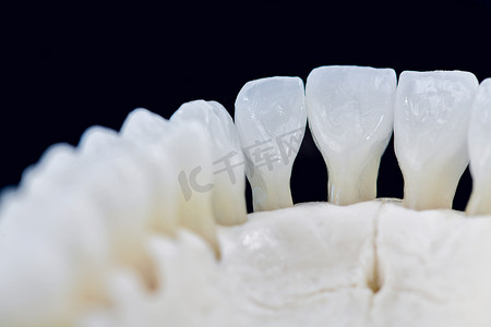 牙齿更健康摄影照片_人类下颌，牙齿在黑色背景下被隔离