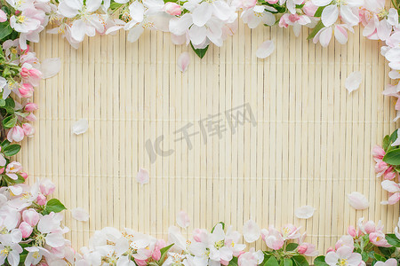 竹背景竹摄影照片_竹背景上的樱花春天花朵框架。