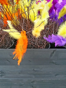 彩色羽毛摄影照片_复活节用彩色羽毛装饰的桦树枝